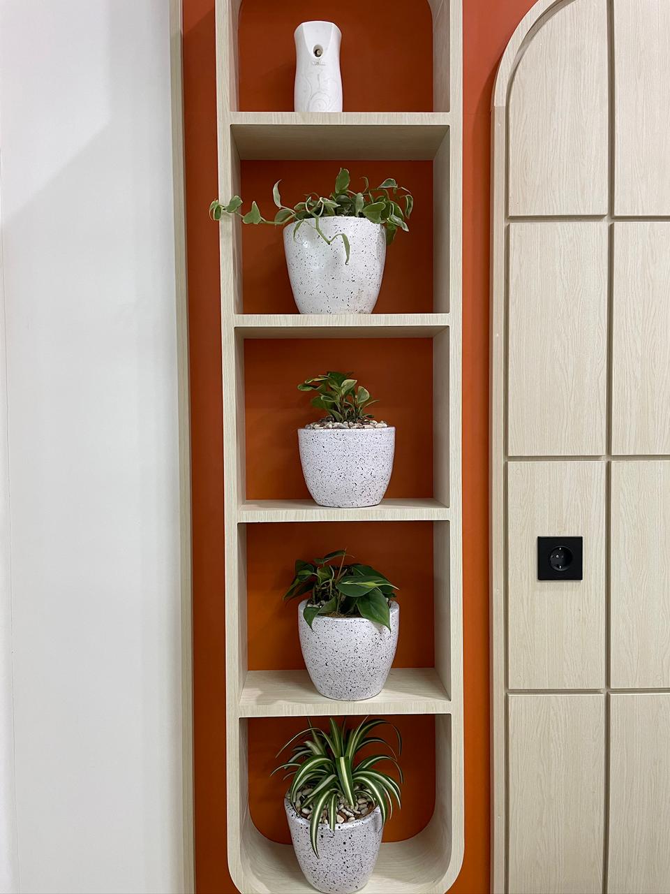 Gallery 4