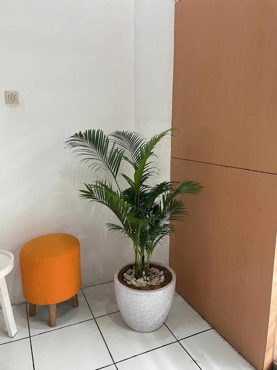Gallery 3