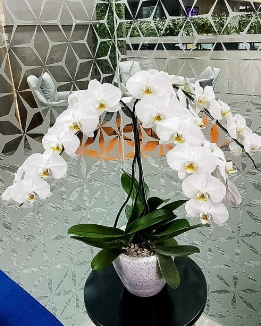 Gallery 1