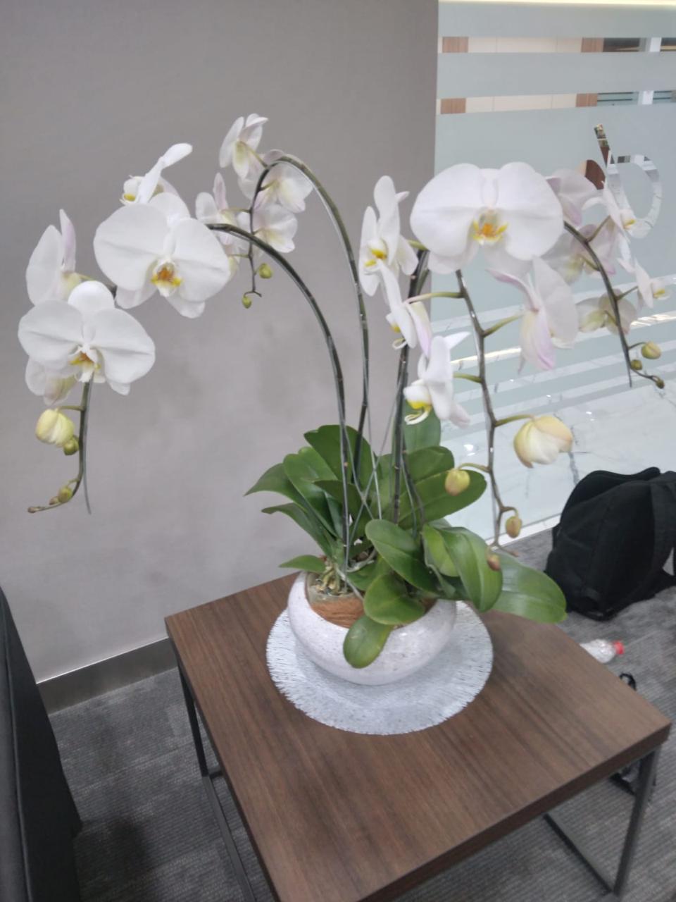 Gallery 1