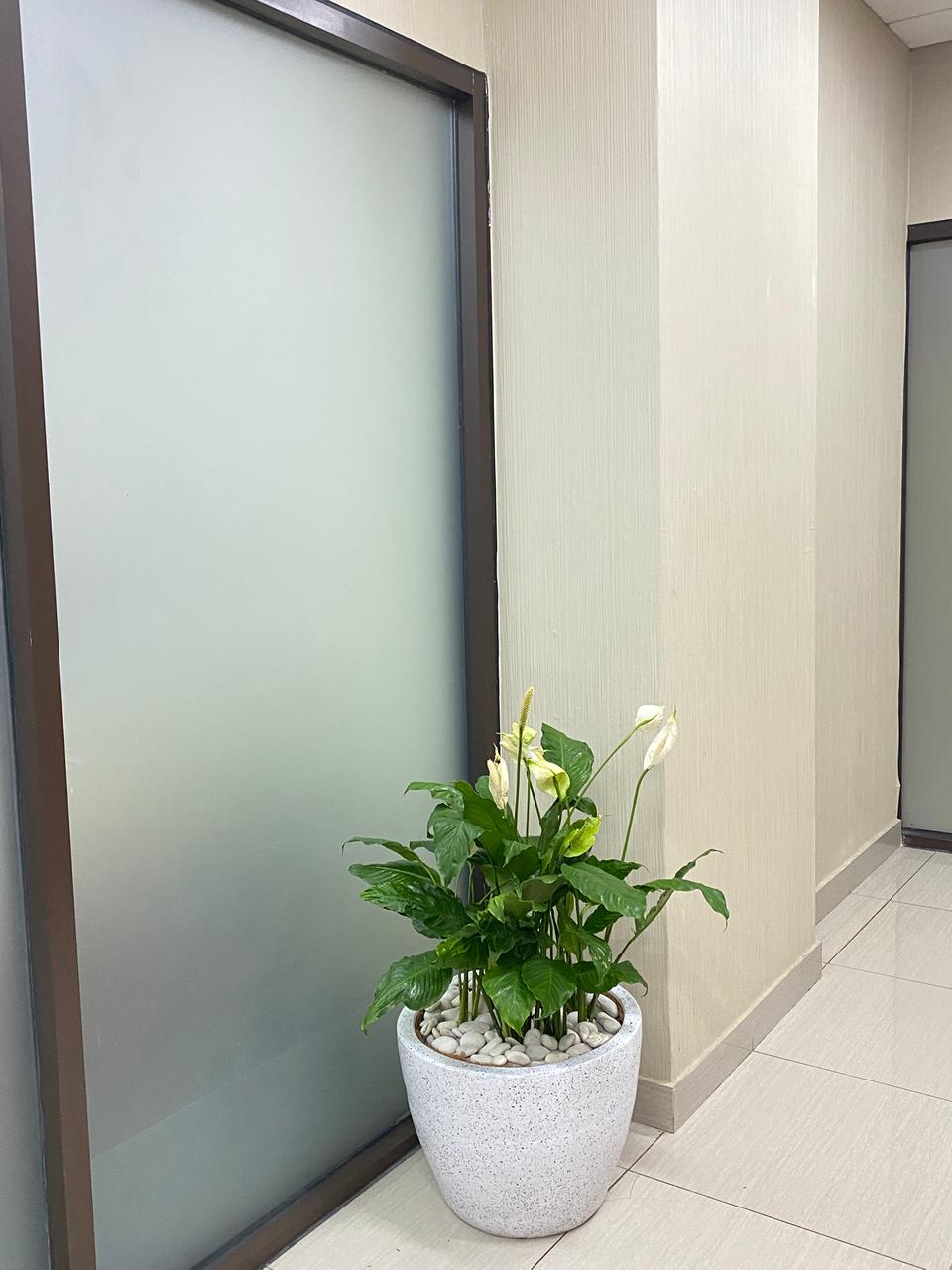 Gallery 6