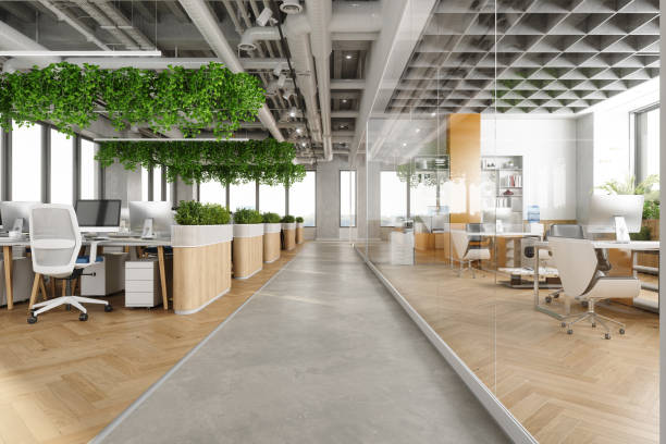 Green Plants